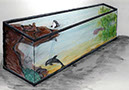 aquariumrender